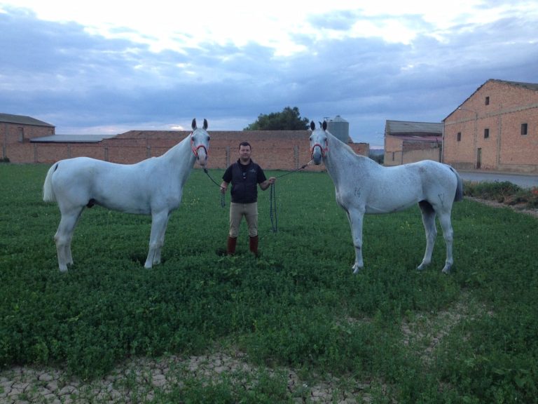 CABALLOS - INTER ORIENTE MEDIO